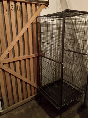 Elbląg Sprzedam dużą klatkę na ptaki. Moje pupile zmieniły dom. Dodam gratis miseczki na pokarm. Odbiór osobisty w