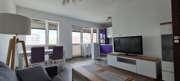 Elbląg Do wynajęcia mieszkanie w Elblągu ul. Legionów, dwa pokoje, 54m2,balkon.