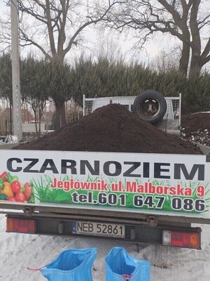 Elbląg ZIEMIA - CZARNOZIEM / HUMUS