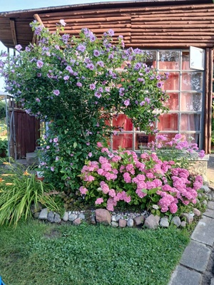 Elbląg Sprzedam piękną działkę rekreacyjną - idealne miejsce na relaks, .