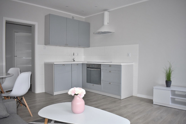 Elbląg Wynajmę mieszkanie od zaraz:- dwa pokoje&nbsp; - umeblowane- centrum miasta&nbsp; 