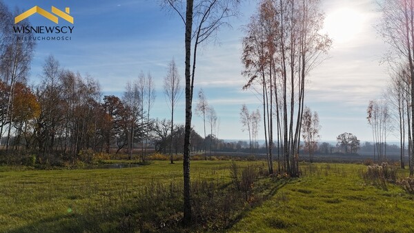 Elbląg WIŚNIEWSCY NIERUCHOMOŚCI Sp. z o.o.Sprzedam działkę - Dawidy. Oferta sprzedaży działki rolnej z decyzją o