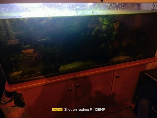 Elbląg sprzedam akwarium 450L + cały osprzętem, szafka, ryby i gadżety ( gadżetów jest sporo, najlepiej omówić