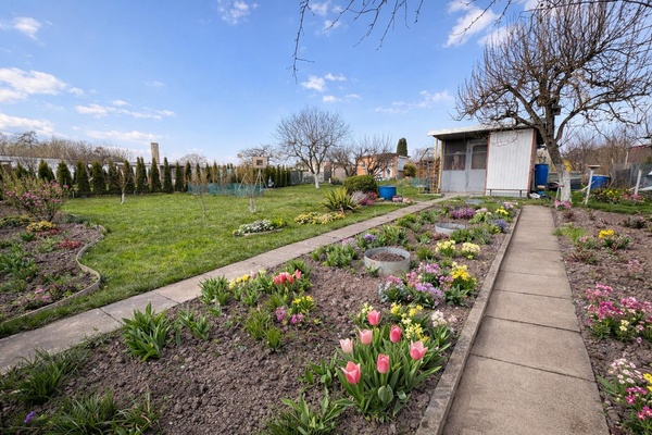 Elbląg Ogłoszenie sprzedaży działki rekreacyjnej