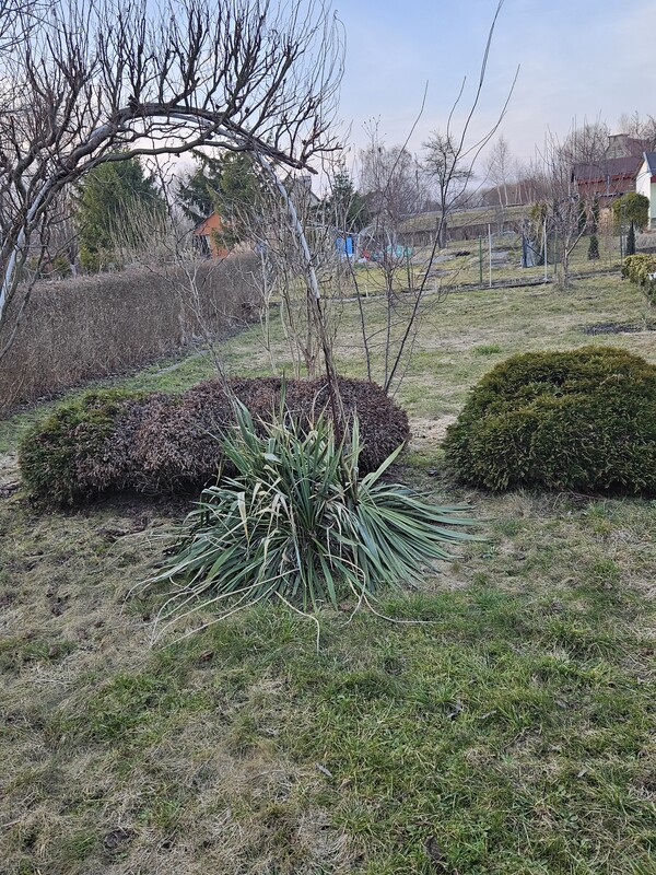 Elbląg Sprzedam działkę ROD Przyroda przy ulicy Malborskiej, 500 metrow kwadratowych, altanka murowana, meble