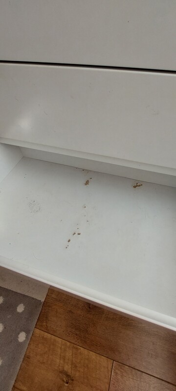 Elbląg Oddam za czekoladę dużą z orzechami komodę
Widoczne ślady uzytkowania.
Zniesienie z 2 piętra I transport we