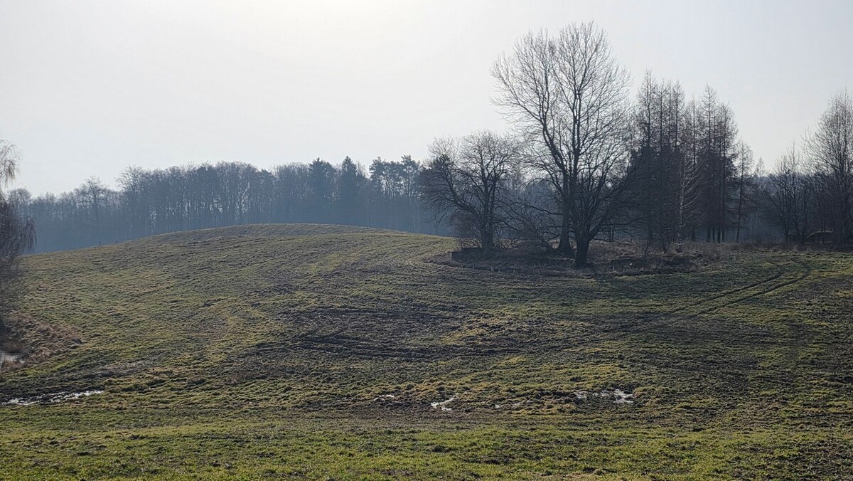 Elbląg SZULC & SZULC BIURO NIERUCHOMOŚCI NA SPRZEDAŻDziałka budowlana - Stare Monasterzysko /gmina