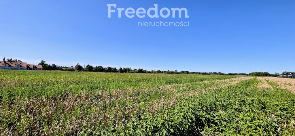 Elbląg FREEDOM NIERUCHOMOŚCISprzedam działkę - Nowy staw. Kompleks działek o powierzchni 19981m², położonych w Nowym