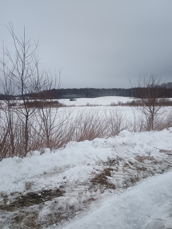 Elbląg Sprzedam 20 hektarów gruntów rolnych położonych we wsi Ząbrowiec gmina Godkowo powiat elbląski. Większość