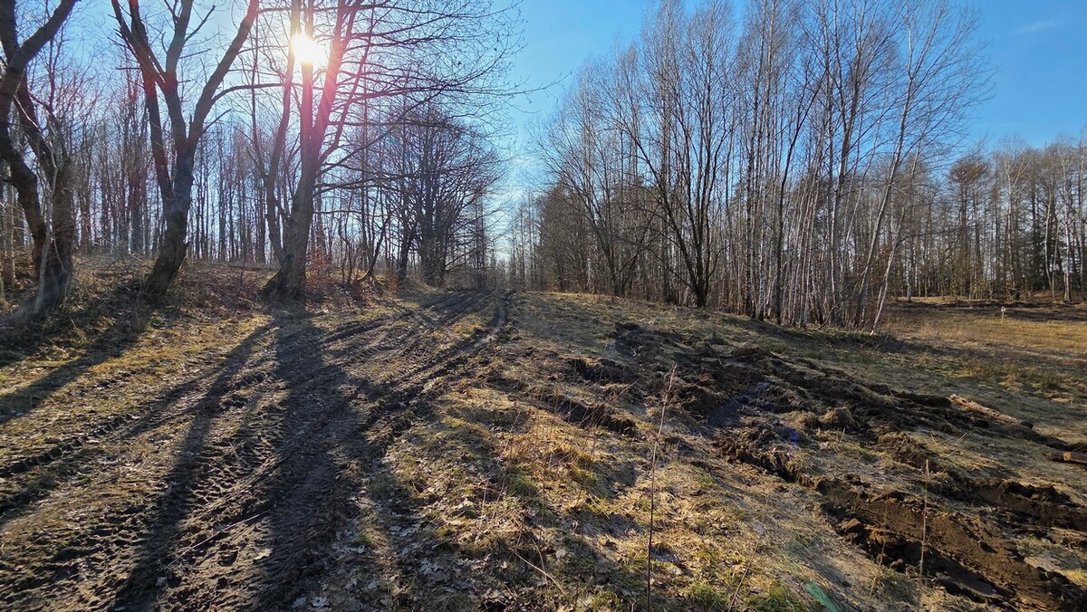 Elbląg SZULC & SZULC BIURO NIERUCHOMOŚCI NA SPRZEDAŻDziałka budowlana - Elbląg ul. JaworowaPowierzchnia: 5075 m2
