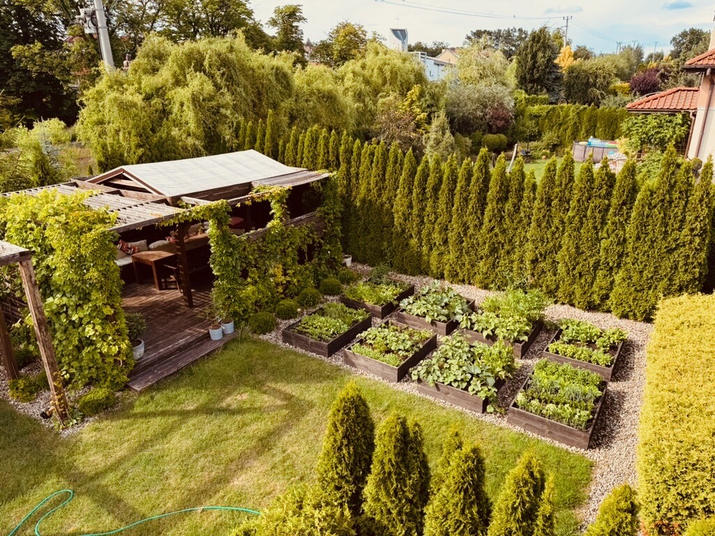 Elbląg Dom wśród sosen – enklawa ciszy i harmonii, ul. Wileńska, Elbląg