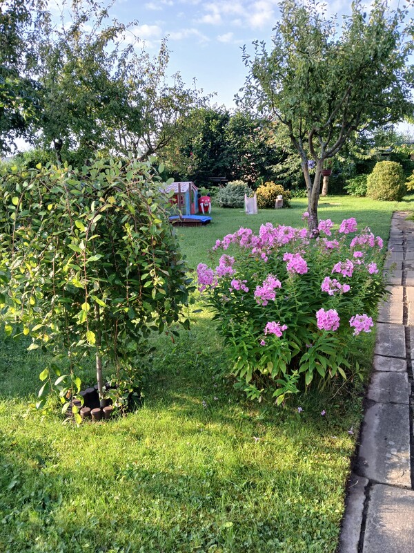 Elbląg Sprzedam piękną działkę rekreacyjna idealne miejsce na odpoczynek.