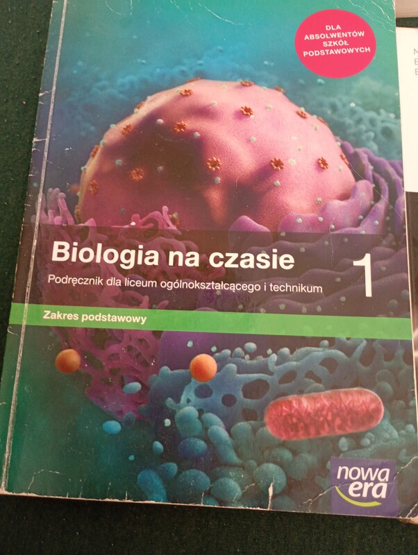 Elbląg Całość za 120 zl