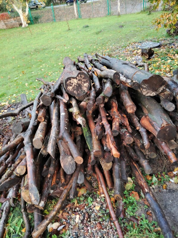 Elbląg Sprzedam drewno opałowe mieszane liściaste (buk, dąb, grab. brzoza, olcha)
220zł/m3 dowóz na terenie miasta w