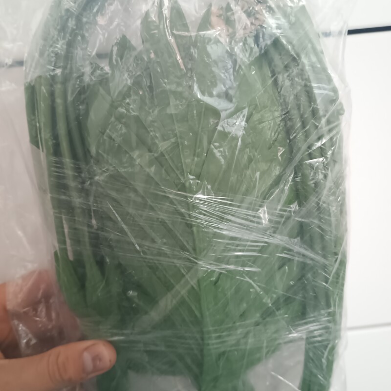 Elbląg Sprzedam piękna sztuczna palma Areka o wysokości 95 cm. Roślina posiada aż 24 duże, realistycznie wykonane