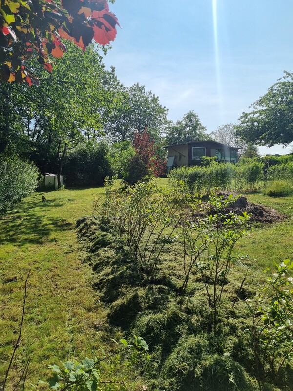 Elbląg 🌳 Działka ROD Bielany Wzgórze 🌞