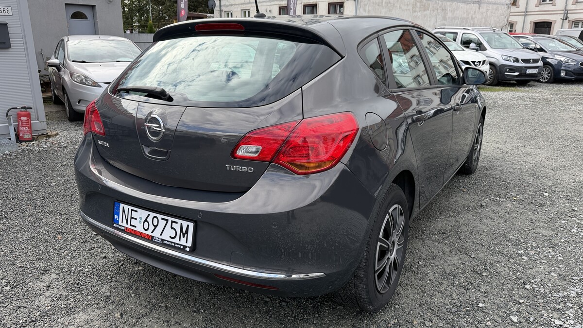 Elbląg Auto Leew LEWANDOWSKI Kupujemy i Sprzedajemy tylko dobre auta Za auta z Polskiego Salonu Płacimy Najwięcej OPEL