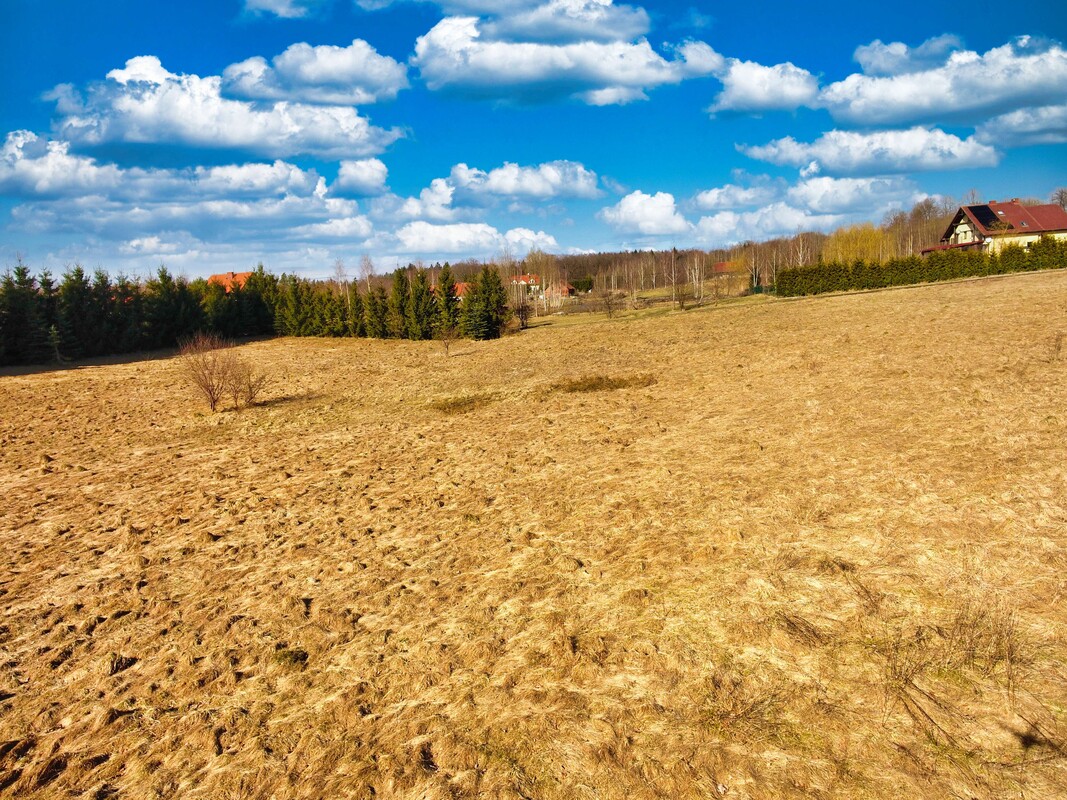 Elbląg Działki budowlane - MPZP Jagodnik, gmina Milejewo (4,5 km do granic