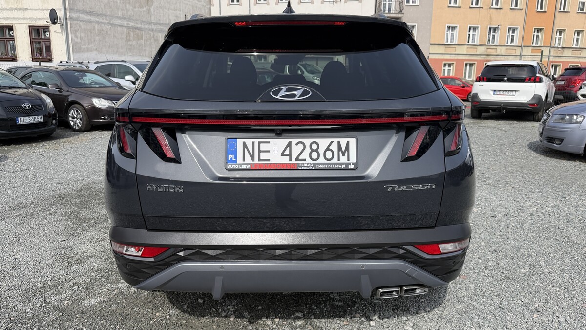 Elbląg Auto Leew LEWANDOWSKI Kupujemy i Sprzedajemy tylko dobre auta Za auta z Polskiego Salonu Płacimy Najwięcej