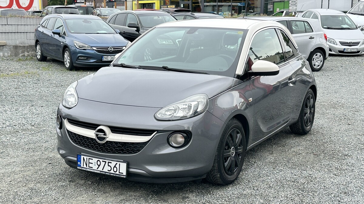 Elbląg Auto Leew LEWANDOWSKI Kupujemy i Sprzedajemy tylko dobre auta Za auta z Polskiego Salonu Płacimy Najwięcej OPEL
