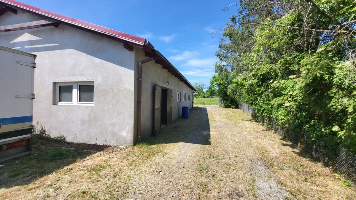 Elbląg AS NIERUCHOMOŚCI POLECACZECHOWO - DZIAŁKA Z HALĄ 200 mkw