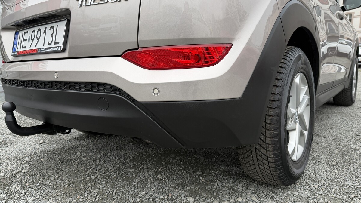 Elbląg Auto Leew LEWANDOWSKI