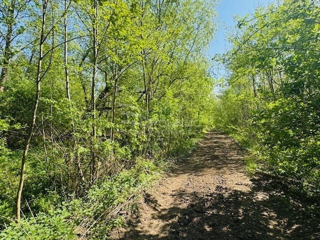 Elbląg PÓŁNOC NIERUCHOMOŚCISprzedam działkę - Bobrowiec. Na sprzedaż oferujemy działkę gruntu o powierzchni 2,15