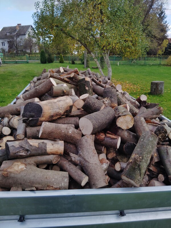 Elbląg Sprzedam drewno opałowe mieszane liściaste (buk, dąb, grab, brzoza, olcha, jesion, jawor)Zarówno metry, jak i