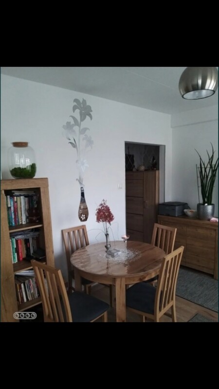 Elbląg Mieszkanie 1 pokojowe z balkonem do wynajęcia.
II piętro w bloku.
ul. Słoneczna