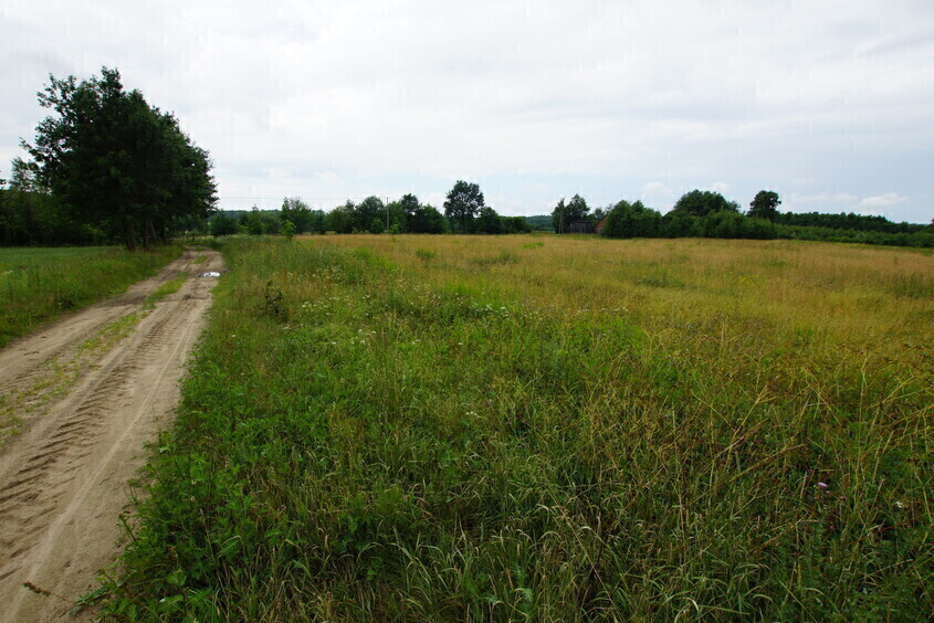 Elbląg * * * ABC NIERUCHOMOŚCI * * *NOWA CENA!! POLECAMY DZIAŁKĘ ROLNĄ W KARSZEWIEo pow. 4,9600 haz oczkiem wodnymz
