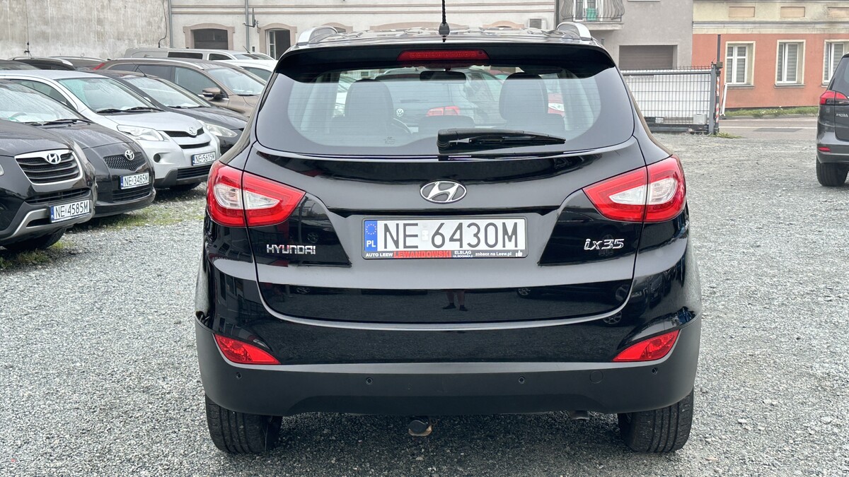 Elbląg Auto Leew LEWANDOWSKI Kupujemy i Sprzedajemy tylko dobre auta Za auta z Polskiego Salonu Płacimy Najwięcej