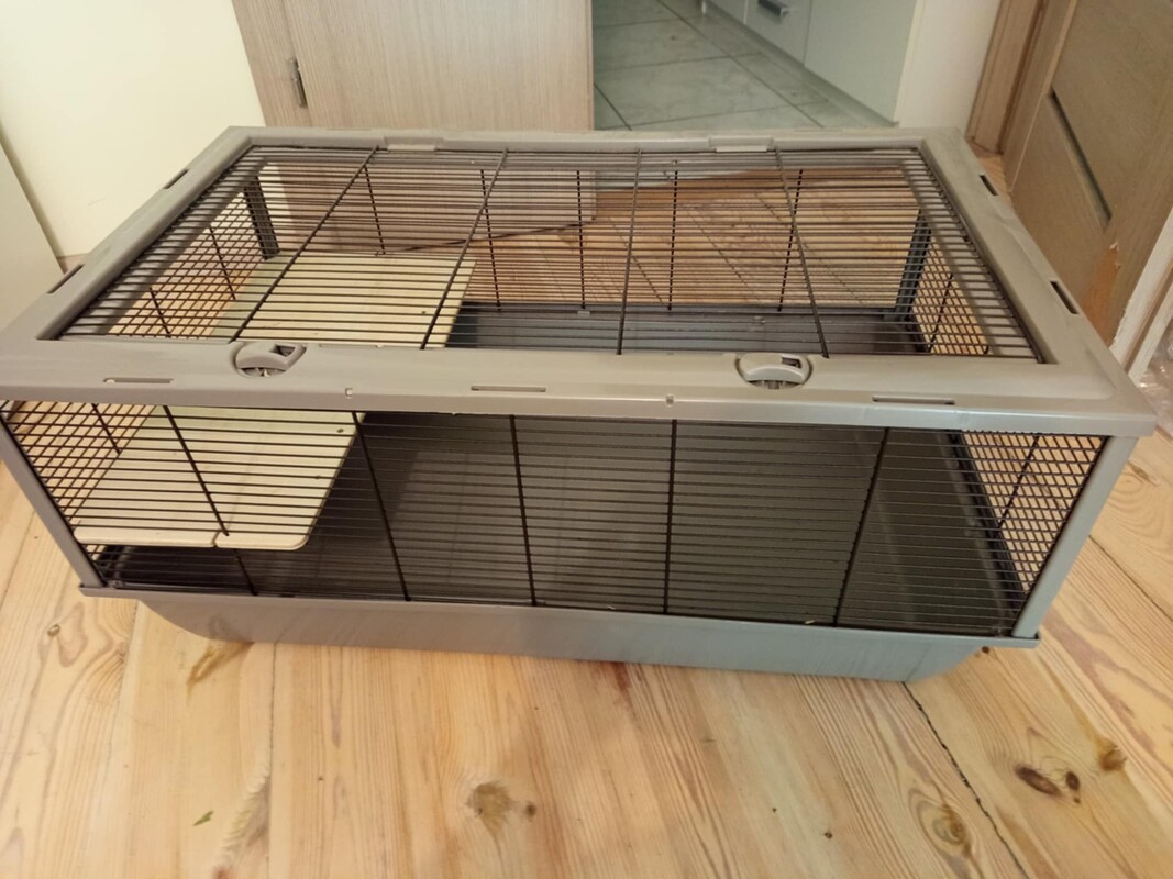 Elbląg Sprzedam klatke o wymiarach 80x47 wysokosc 35 stan bardzo dobry, idealnie nadaje sie dla swinki morskiej,