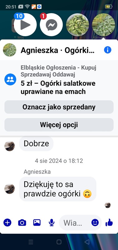 Elbląg Ogórki uprawiane na emach bez nawozów i oprysków
