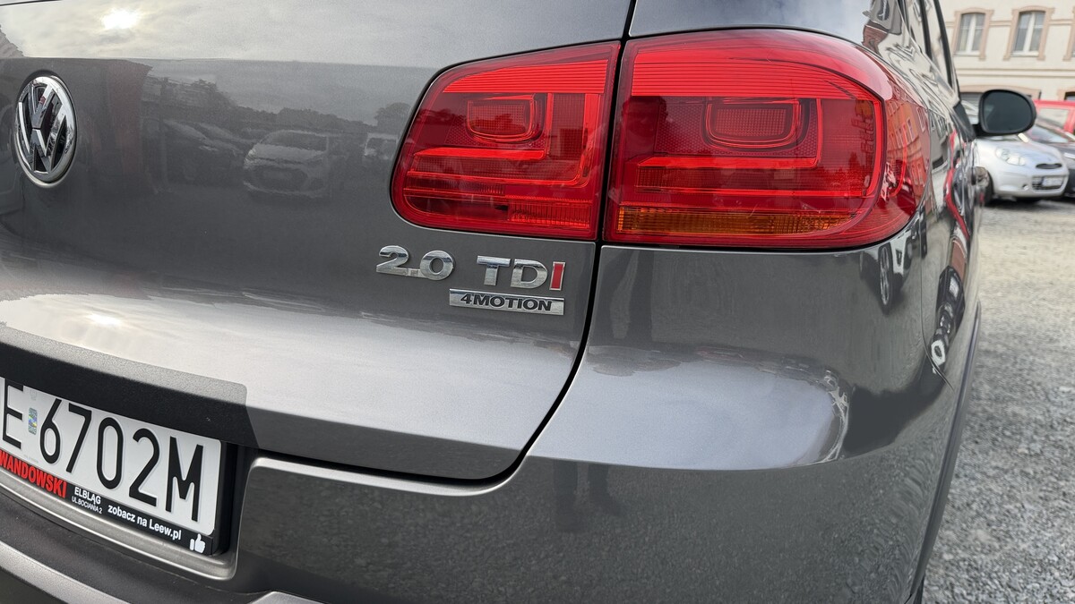 Elbląg Auto Leew LEWANDOWSKI Kupujemy i Sprzedajemy tylko dobre auta Za auta z Polskiego Salonu Płacimy Najwięcej