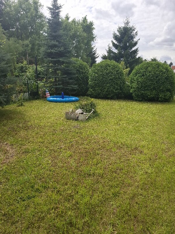 Elbląg Działka ROD PROMYK – Elbląg, ul. Akacjowa – 400 m² 🌿
💰 Cena: 25 000 zł
📞 Kontakt: 509 930 439
Na sprzedaż