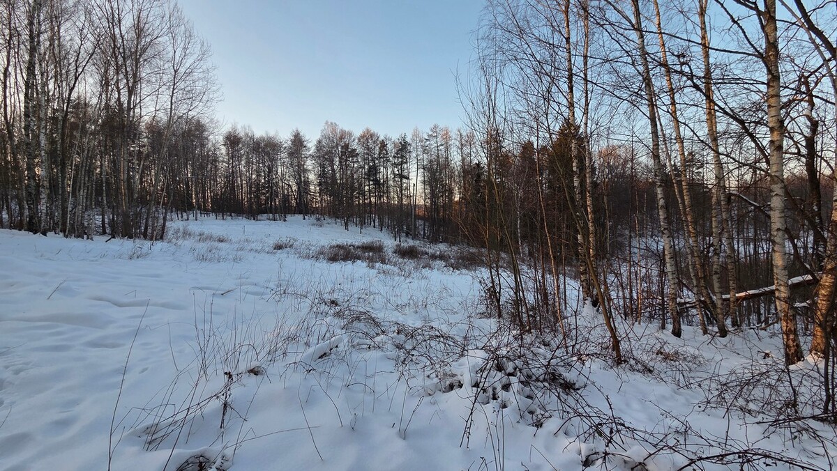 Elbląg BIURO NIERUCHOMOŚCISZULC& SZULCDziałka budowlana w miejscowości Elbląg ul. Jaworowa /Dąbrowa/ o