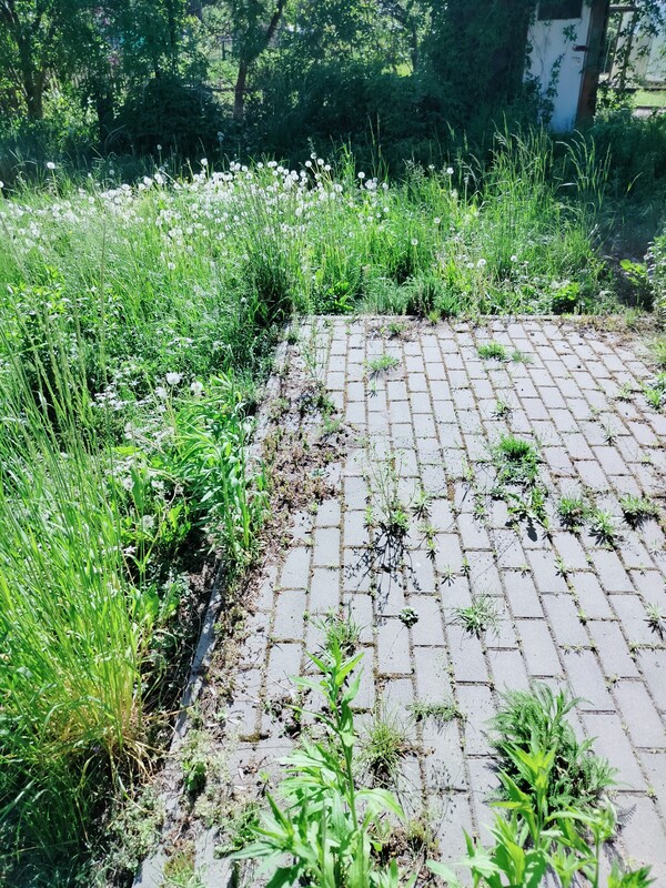 Elbląg Dzień dobry, oferuje usługę prania tapicerki materiałowej, oraz czyszczenie skór.
-Kanapy
-Kanapy