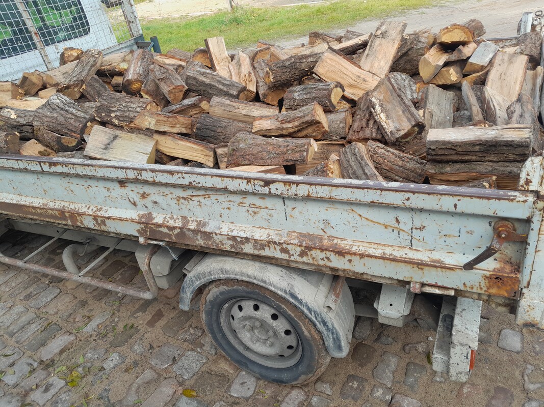 Elbląg SPRZEDAM DĄB NA OPAŁ