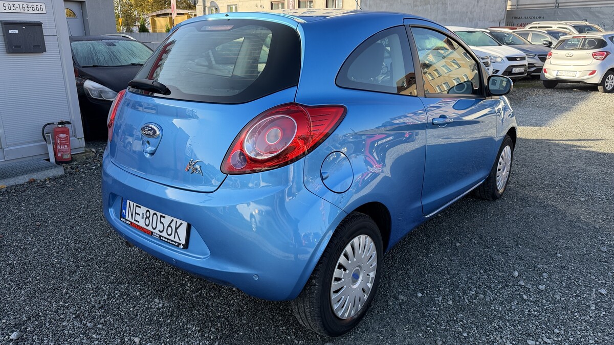 Elbląg Auto Leew LEWANDOWSKI Kupujemy i Sprzedajemy tylko dobre auta Za auta z Polskiego Salonu Płacimy Najwięcej FORD