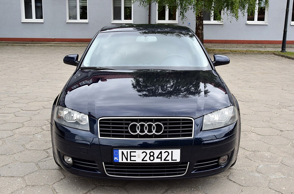 Elbląg Audi A3 HatchbeckSilnik 1.6 - 102 KMZadbany / garażowany