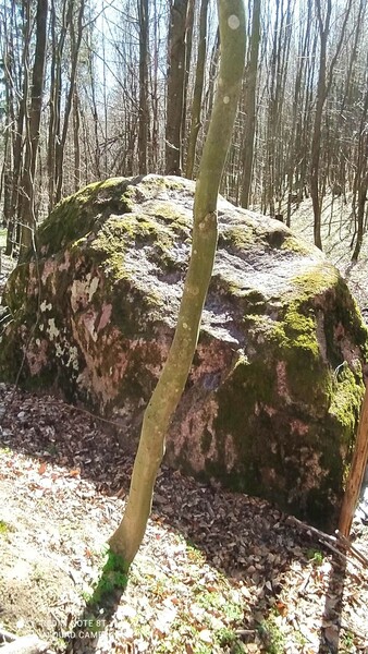 Elbląg Sprzedam piękną działkę z możliwością budowy!!!