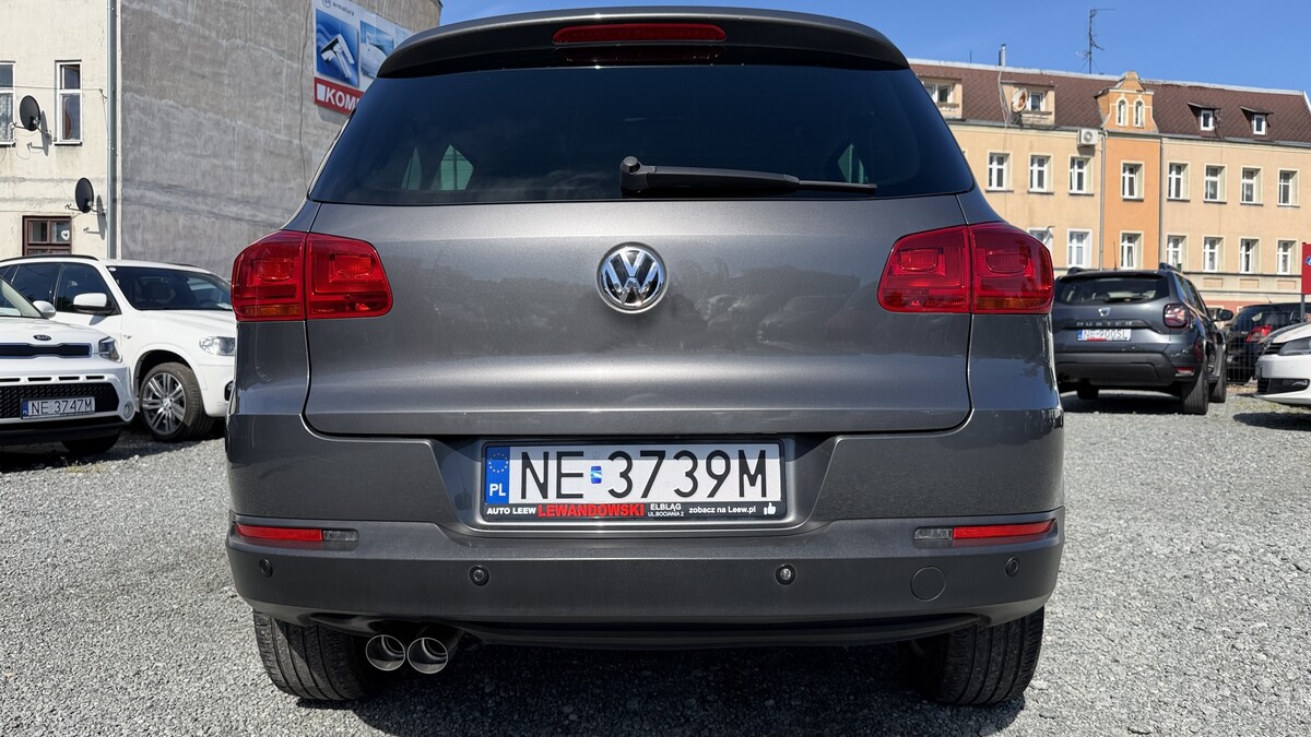 Elbląg Auto Leew LEWANDOWSKI