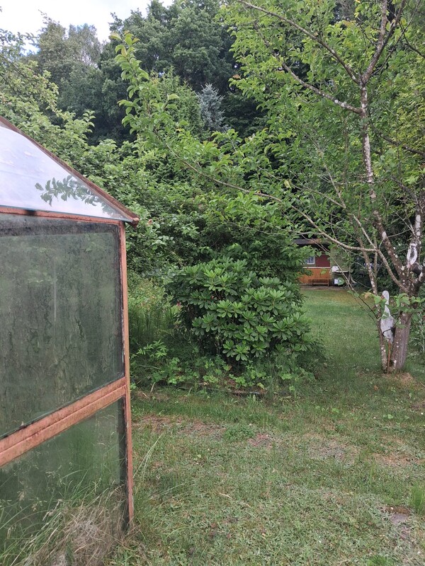Elbląg 🌳 PILNIE SPRZEDAM! DZIAŁKA REKREACYJNA nr 75 w ROD BAŻANTARNIA – ELBLĄGCENA: 11.500 zł! | Tel.