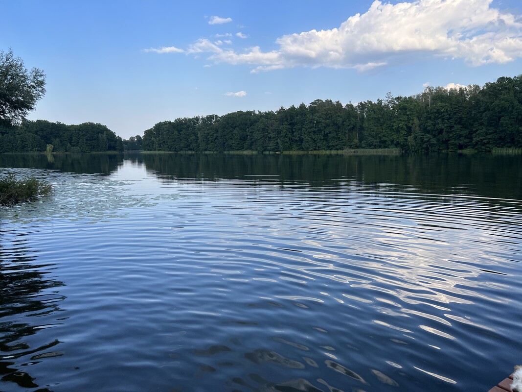 Elbląg Działka nad jeziorem, Przezmark gm. Stary Dzierzgoń