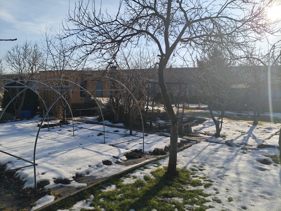 Elbląg 🌿 Twój zielony azyl w mieście! Wyjątkowa działka ROD przy ul. Druskiej na sprzedaż! 🏡