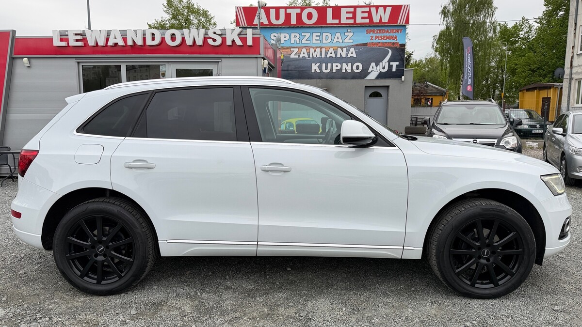 Elbląg Auto Leew LEWANDOWSKI Kupujemy i Sprzedajemy tylko dobre auta Za auta z Polskiego Salonu Płacimy Najwięcej AUDI