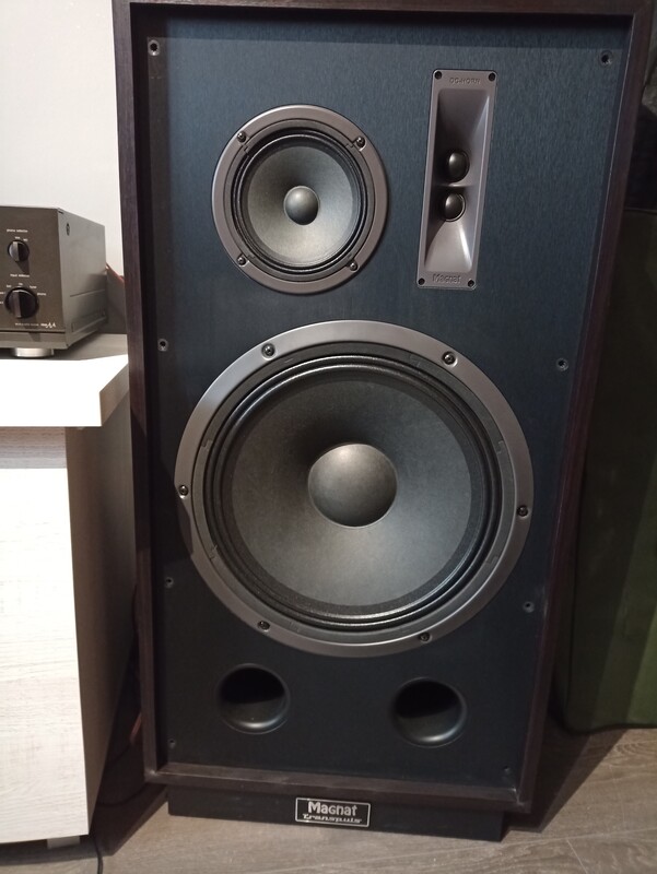 Elbląg Twoje głośniki charczą, mają sparciałe zawieszenia, a może jeden z nich całkowicie przestał grać? Nie kupuj