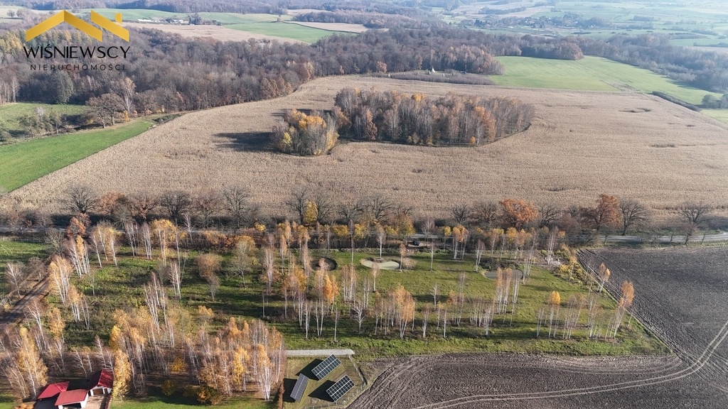 Elbląg WIŚNIEWSCY NIERUCHOMOŚCI Sp. z o.o.Sprzedam działkę - Dawidy. Oferta sprzedaży działki rolnej z wydaną