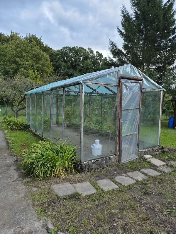 Elbląg Działka ROD Słoneczne Wzgórze 450 m² – odstąpię prawo do użytkowania | domek | szklarnia