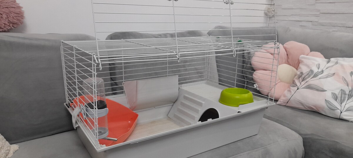 Elbląg Witam. Do sprzedania klatka dla chomika, świnki ewentualnie królika miniaturki. Klatka w bardzo dobrym stanie z